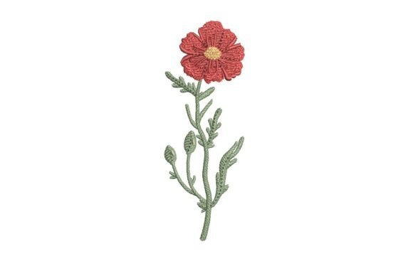 Red Wildflower Embroidery: A Designer’s Honest Review for Boutique Apparel